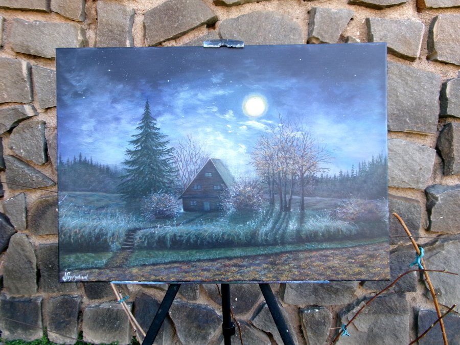 Moonlit night